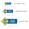 Boys Scouts® Labels Variety Pack
